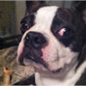 Meet your Posher, Nate